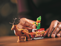 LEGO set 10275-1 Elf Club House - Image 11