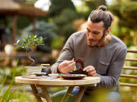 LEGO set 10281-1 Bonsai Tree - Image 5