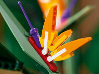 LEGO set 10289-1 Bird of Paradise - Image 3