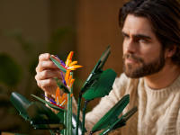 LEGO set 10289-1 Bird of Paradise - Image 5