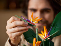 LEGO set 10289-1 Bird of Paradise - Image 6