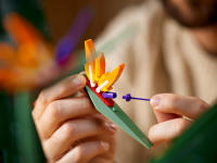 LEGO set 10289-1 Bird of Paradise - Image 8