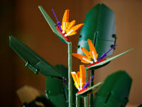 LEGO set 10289-1 Bird of Paradise - Image 9