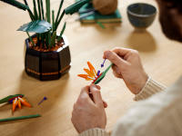 LEGO set 10289-1 Bird of Paradise - Image 10