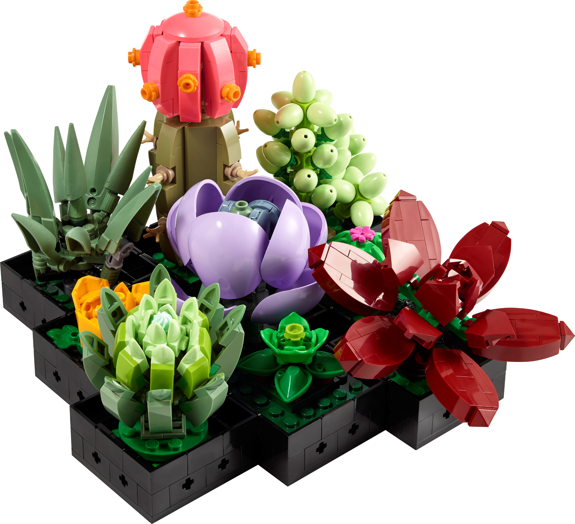 LEGO set 10309-1 Succulents - Image 1