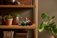 LEGO set 10309-1 Succulents - Image 3