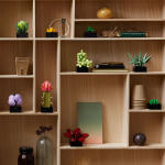 LEGO set 10309-1 Succulents - Image 4