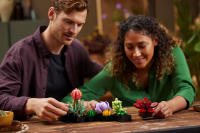 LEGO set 10309-1 Succulents - Image 10