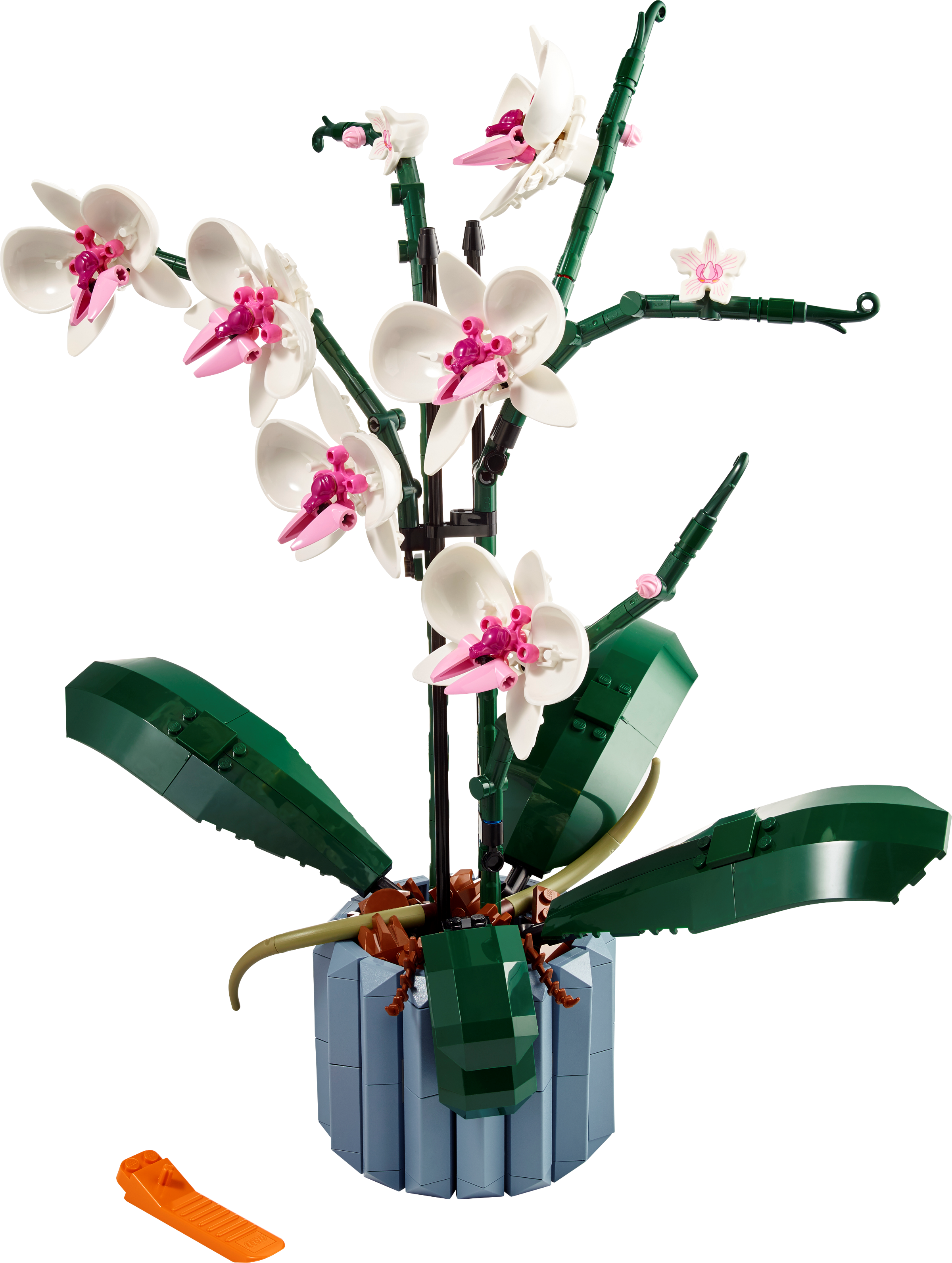 LEGO set 10311-1 Orchid - Image 1