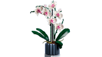 LEGO set 10311-1 Orchid - Image 5