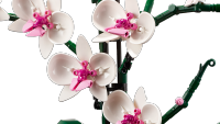 LEGO set 10311-1 Orchid - Image 6