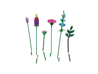 LEGO set 10313-1 Wildflower Bouquet - Image 10
