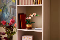 LEGO set 10343-1 Mini Orchid - Image 3