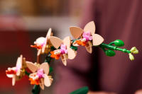 LEGO set 10343-1 Mini Orchid - Image 8