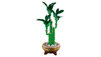 LEGO set 10344-1 Lucky Bamboo - Image 6