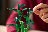LEGO set 10344-1 Lucky Bamboo - Image 8