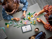 LEGO set 10347-1 Petite Sunny Bouquet - Image 8