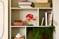 LEGO set 10348-1 Japanese Red Maple Bonsai Tree - Image 9