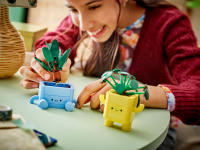 LEGO set 10349-1 Happy Plants - Image 8