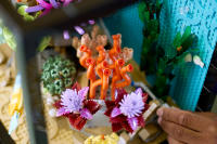 LEGO set 10366-1 Tropical Aquarium - Image 4