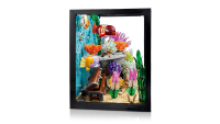 LEGO set 10366-1 Tropical Aquarium - Image 12