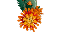 LEGO set 10368-1 Chrysanthemum - Image 6