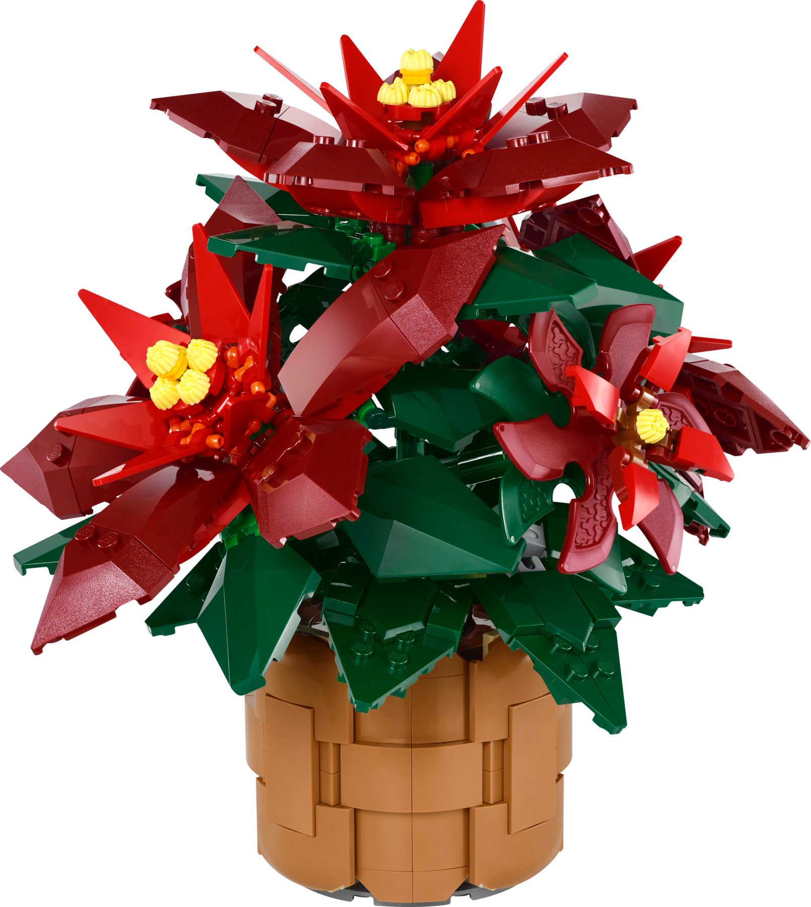 LEGO set 10370-1 Poinsettia - Image 1