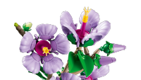 LEGO set 10372-1 Hibiscus - Image 8