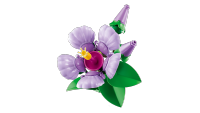 LEGO set 10372-1 Hibiscus - Image 10