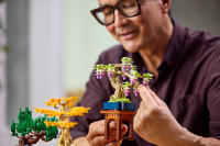 LEGO set 10373-1 Mini Bonsai Trees - Image 3