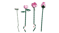 LEGO set 10374-1 Bouquet of Pink Roses - Image 17