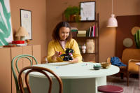 LEGO set 10375-1 How to Train Your Dragon: Toothless - Image 12