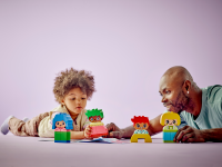 LEGO set 10415-1 Big Feelings & Emotions - Image 6