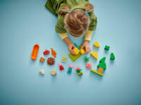 LEGO set 10452-1 Camping Trip - Image 5