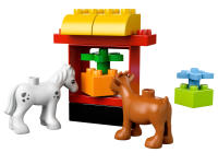 LEGO set 10517-1 My First Garden - Image 4