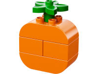 LEGO set 10566-1 Creative Picnic - Image 5