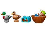 LEGO set 10581-1 Forest: Ducks - Image 4