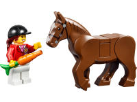 LEGO set 10674-1 Pony Farm - Image 6