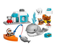LEGO set 10803-1 Arctic - Image 1