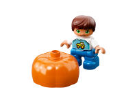 LEGO set 10867-1 Farmers' Market - Image 7