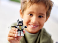 LEGO set 10919-1 Batcave - Image 11
