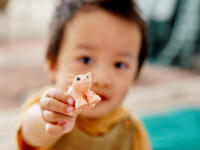 LEGO set 10949-1 Farm Animal Care - Image 10