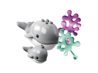 LEGO set 10972-1 Wild Animals of the Ocean - Image 4