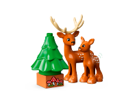 LEGO set 10975-1 Wild Animals of the World - Image 5