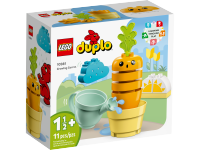 LEGO set 10981-1 Growing Carrot - Image 2