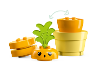 LEGO set 10981-1 Growing Carrot - Image 4