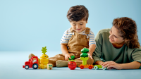 LEGO set 10982-1 Fruit and Vegetable Tractor - Image 8
