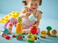 LEGO set 10984-1 Organic Garden - Image 3