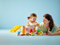 LEGO set 10984-1 Organic Garden - Image 11