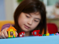 LEGO set 11001-1 Bricks and Ideas - Image 3